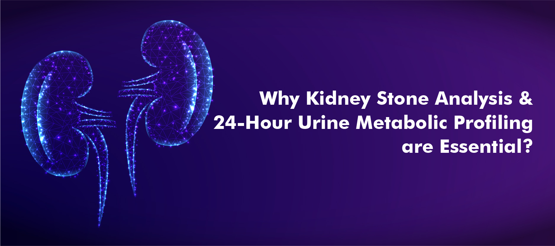 Kidney Stones – Exploring Types, Causes, Tests, and Prevention